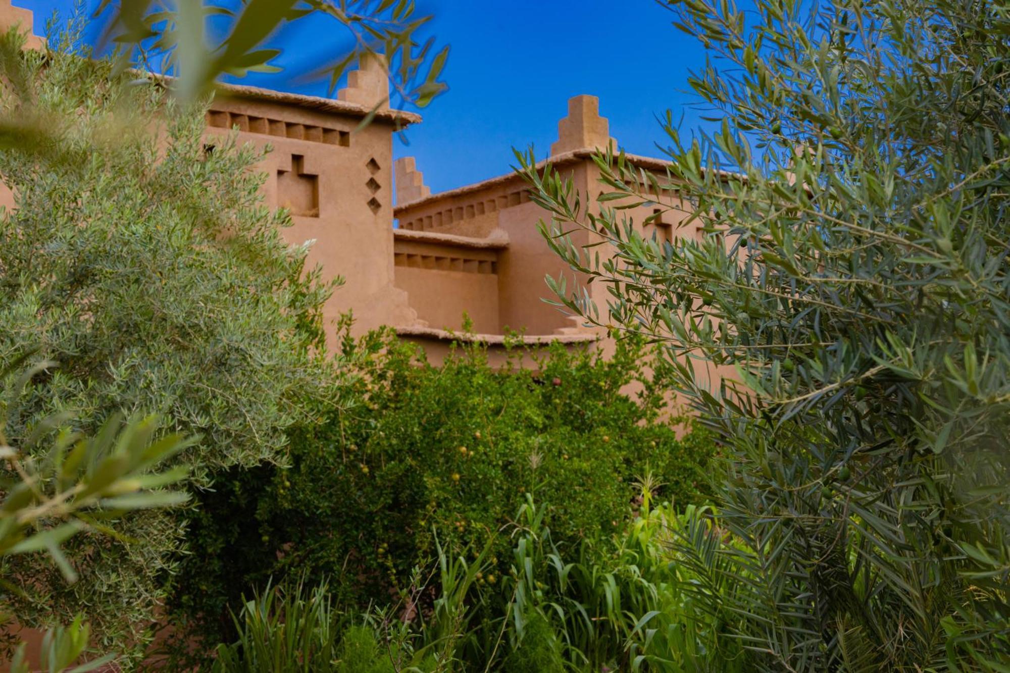 Maison D'Hote Amridil Skoura Exterior foto
